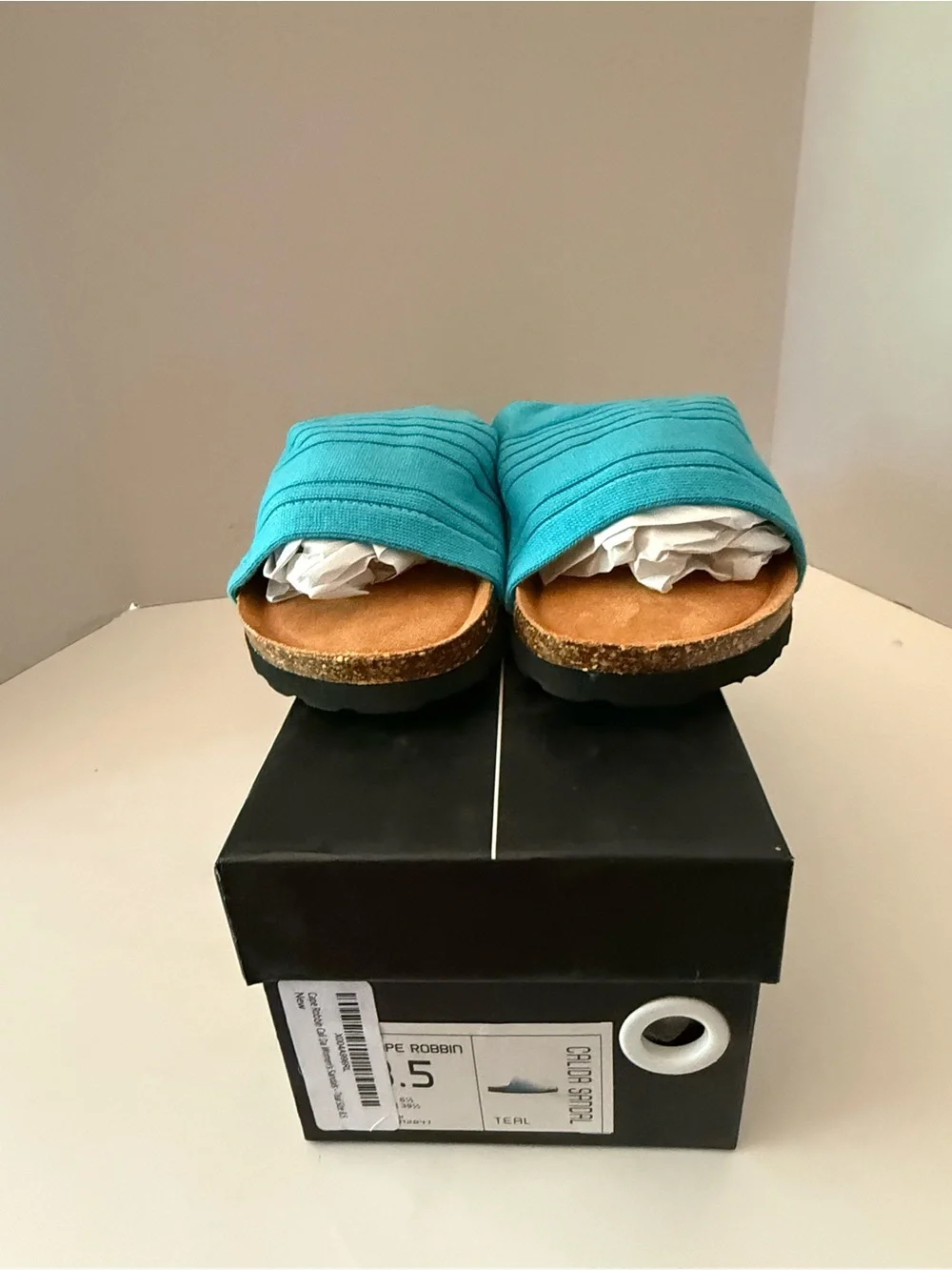 Cape Robbin Teal Slide Sandals NEW Women’s 8.5